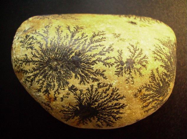 Psilomelane dendrites