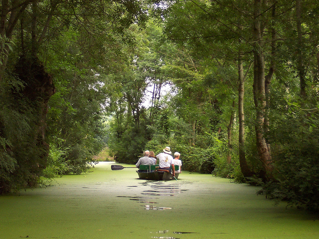 Barque marais poitevin