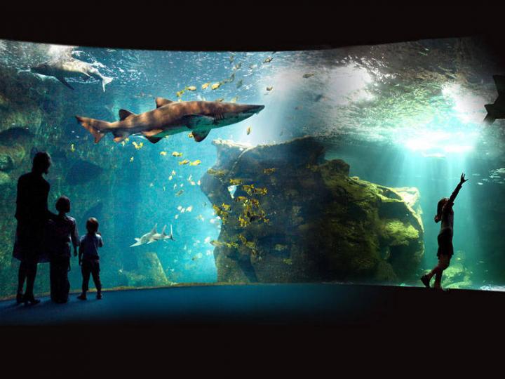 Aquarium rochelle