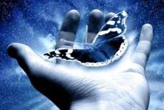 3af724fcb97947090f9f127290d386fd