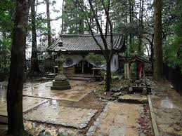 Images 46 