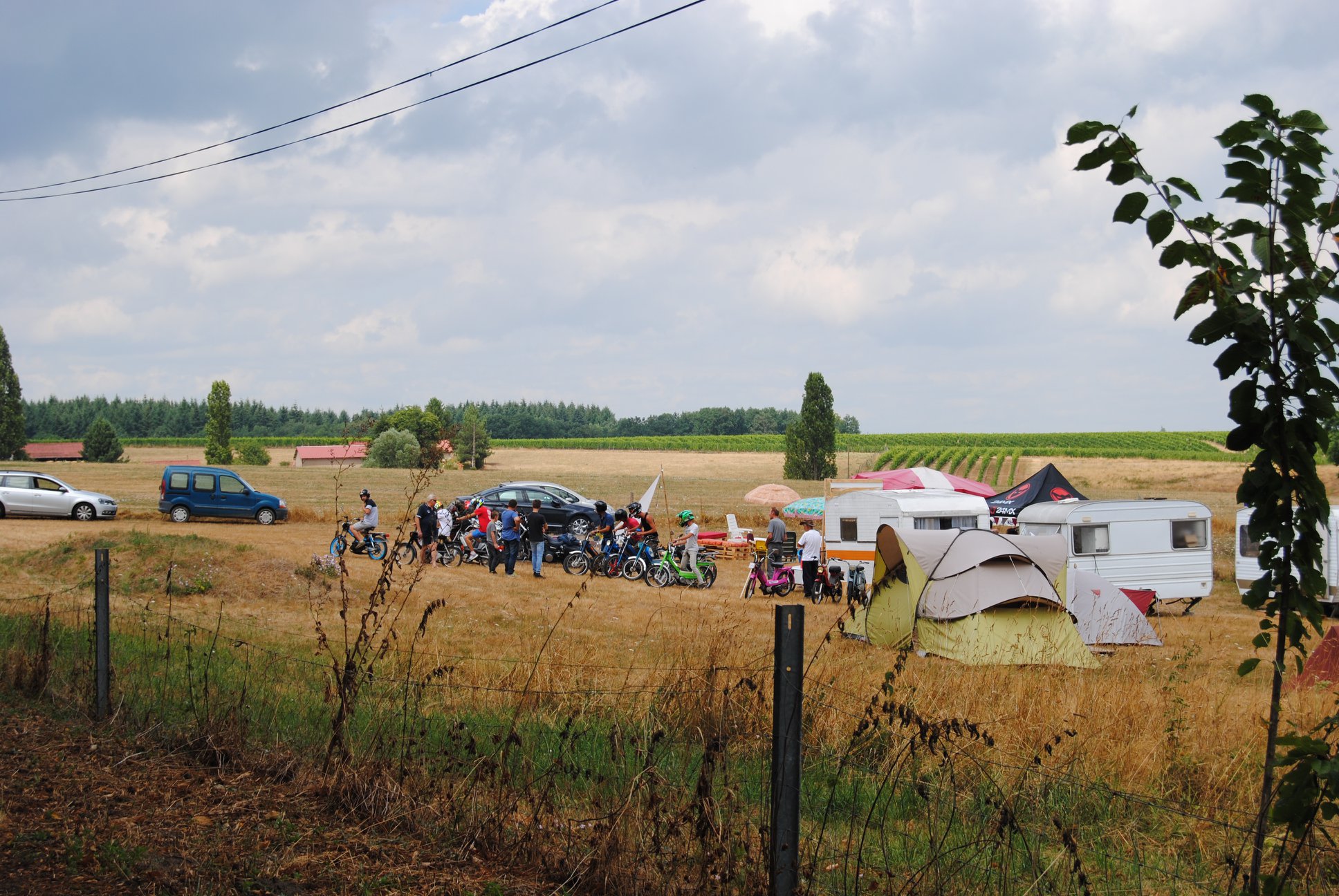 38128686 138032183768610 1350491623720484864 o