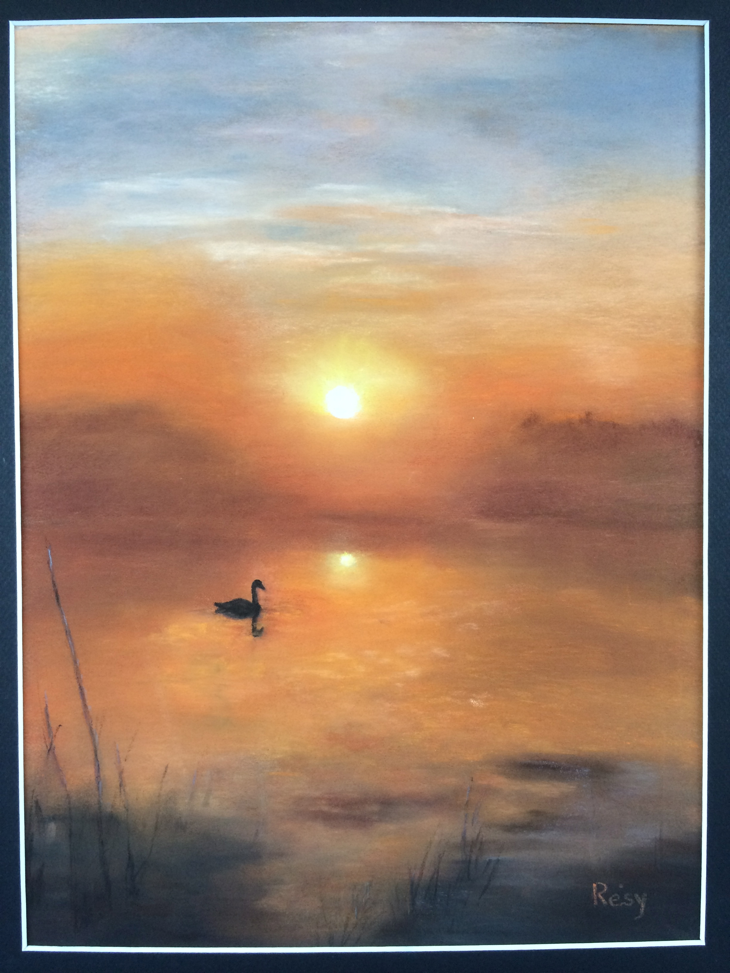 Le cygne