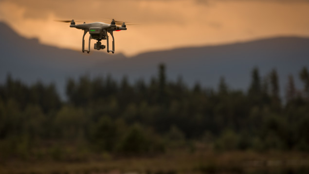Drone foret population