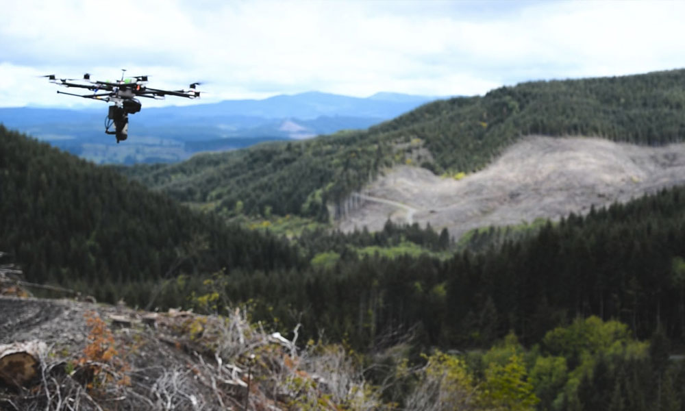 Drone