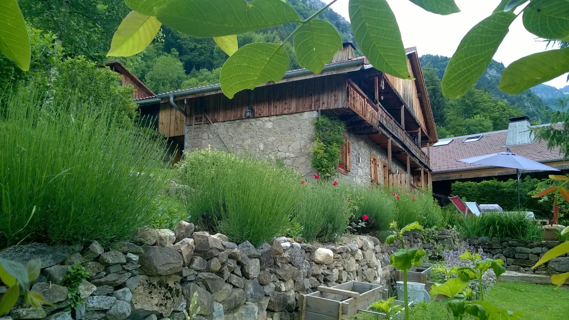 WP 20180617 16 17 54 Pro