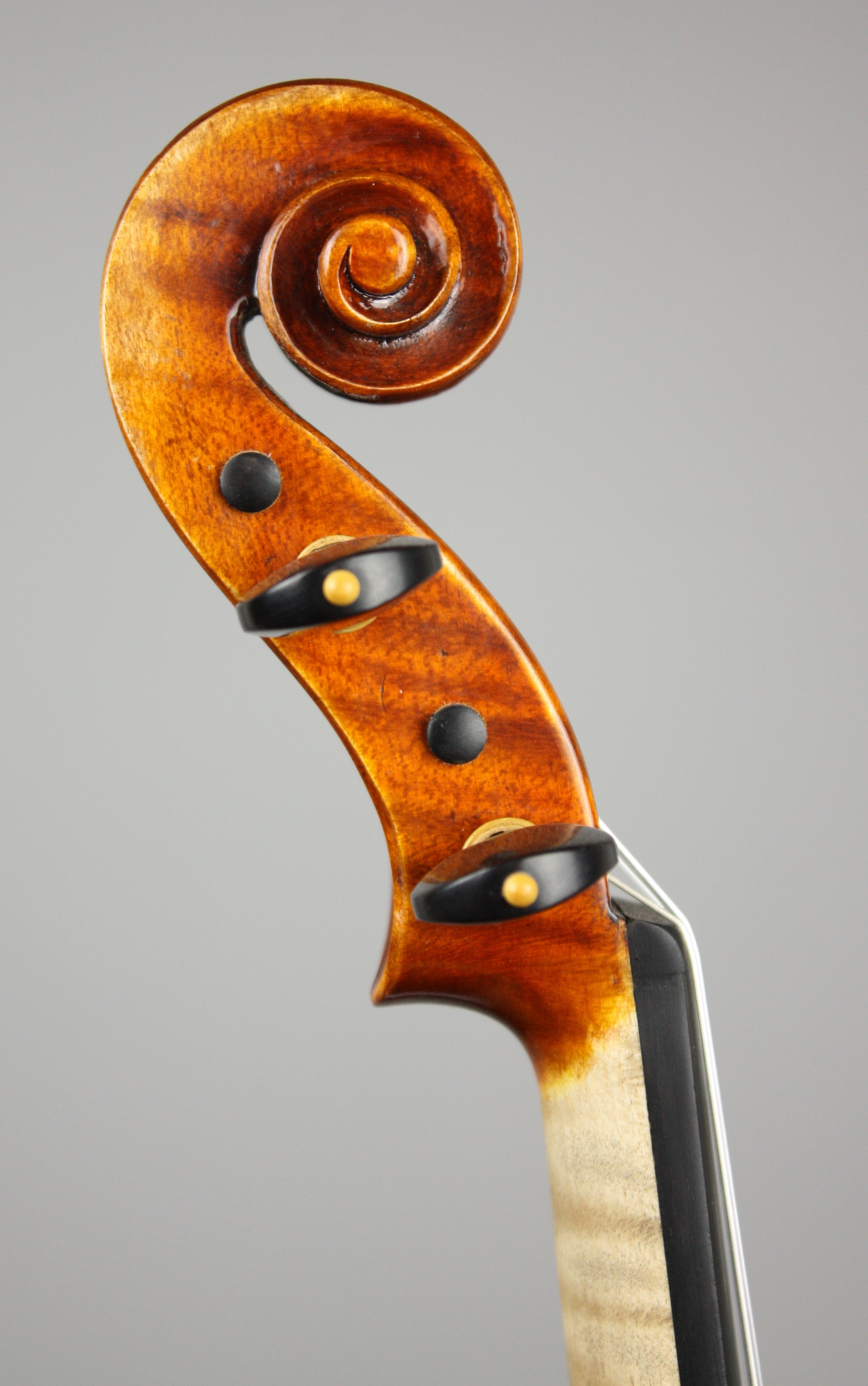 Violon 4 4 maestro 6 3 