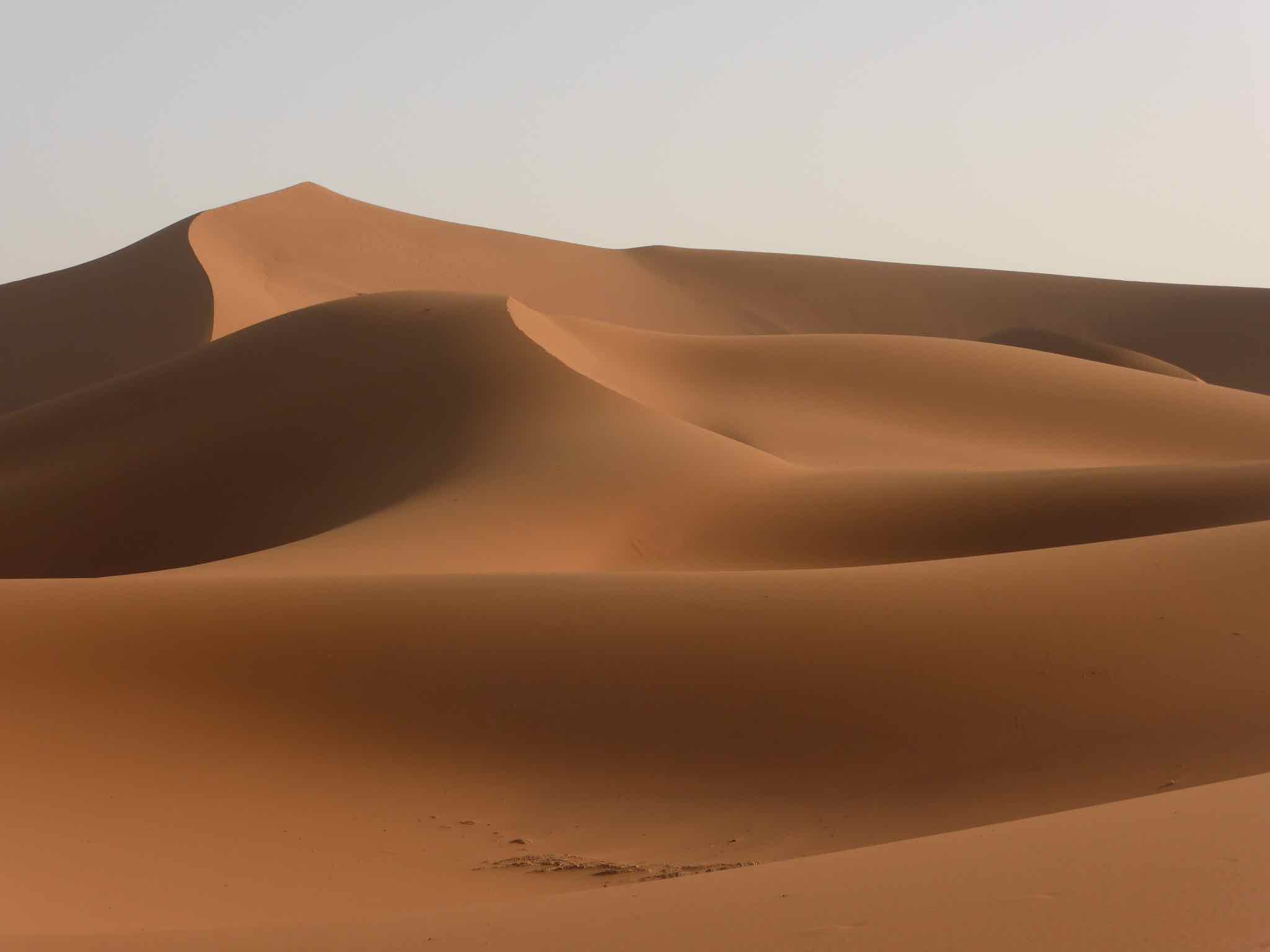 Desert marocain et qi gong feveier 19 1 1 copie