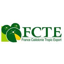 Fcte 01