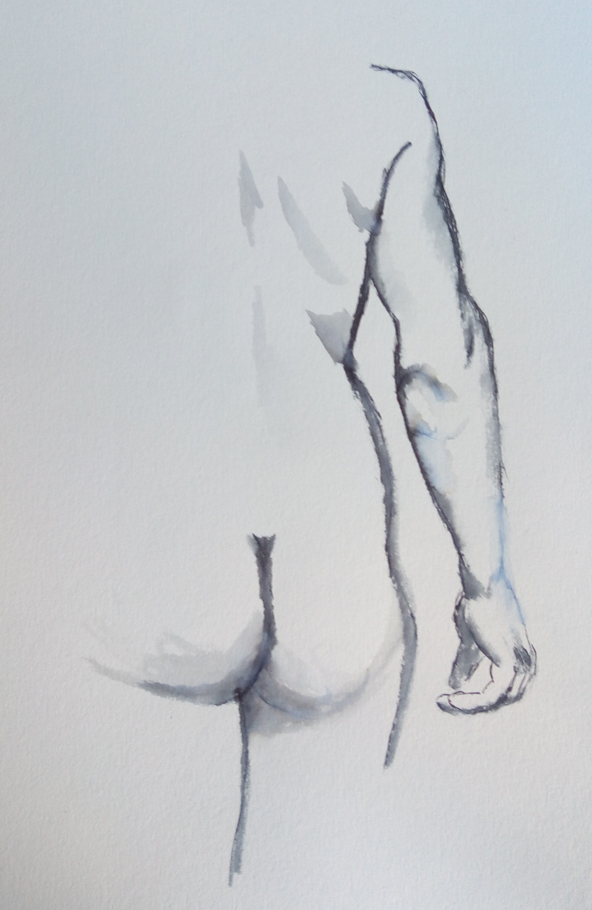 2019 02 23 15 06 43