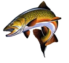 Fg