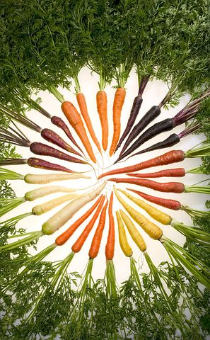 Carrots 76653 480
