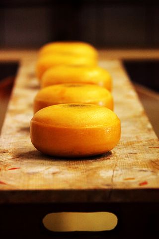 Cheese 20410 480
