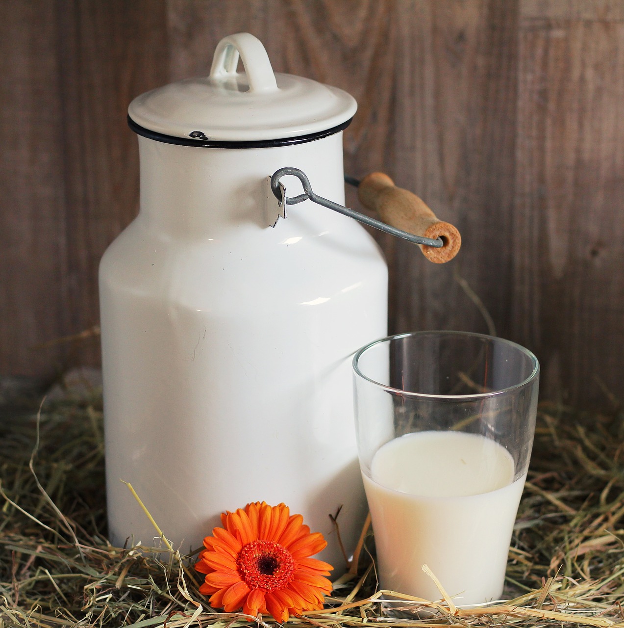 Milk can 1990075 1280