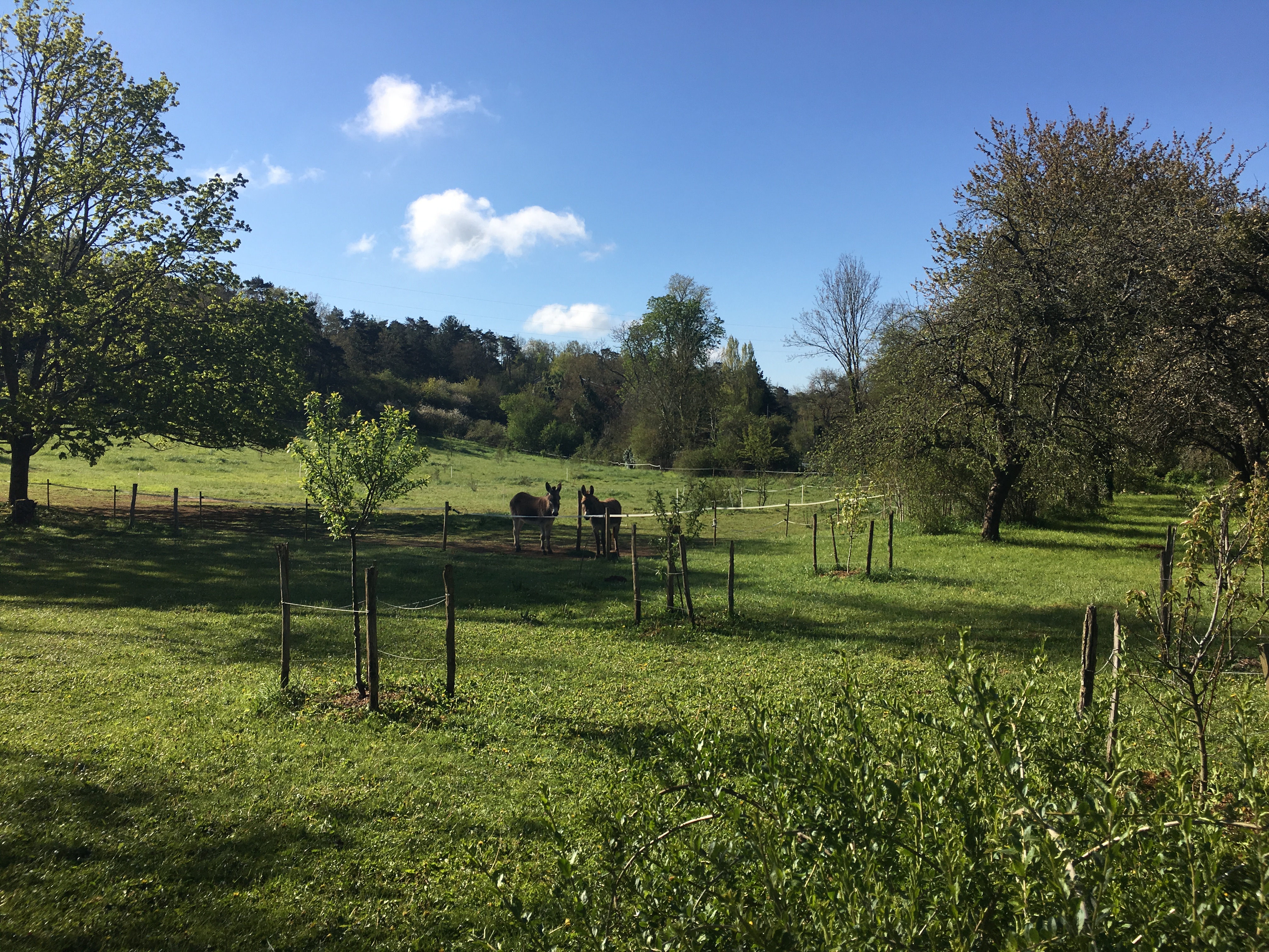 Domainepreanes1
