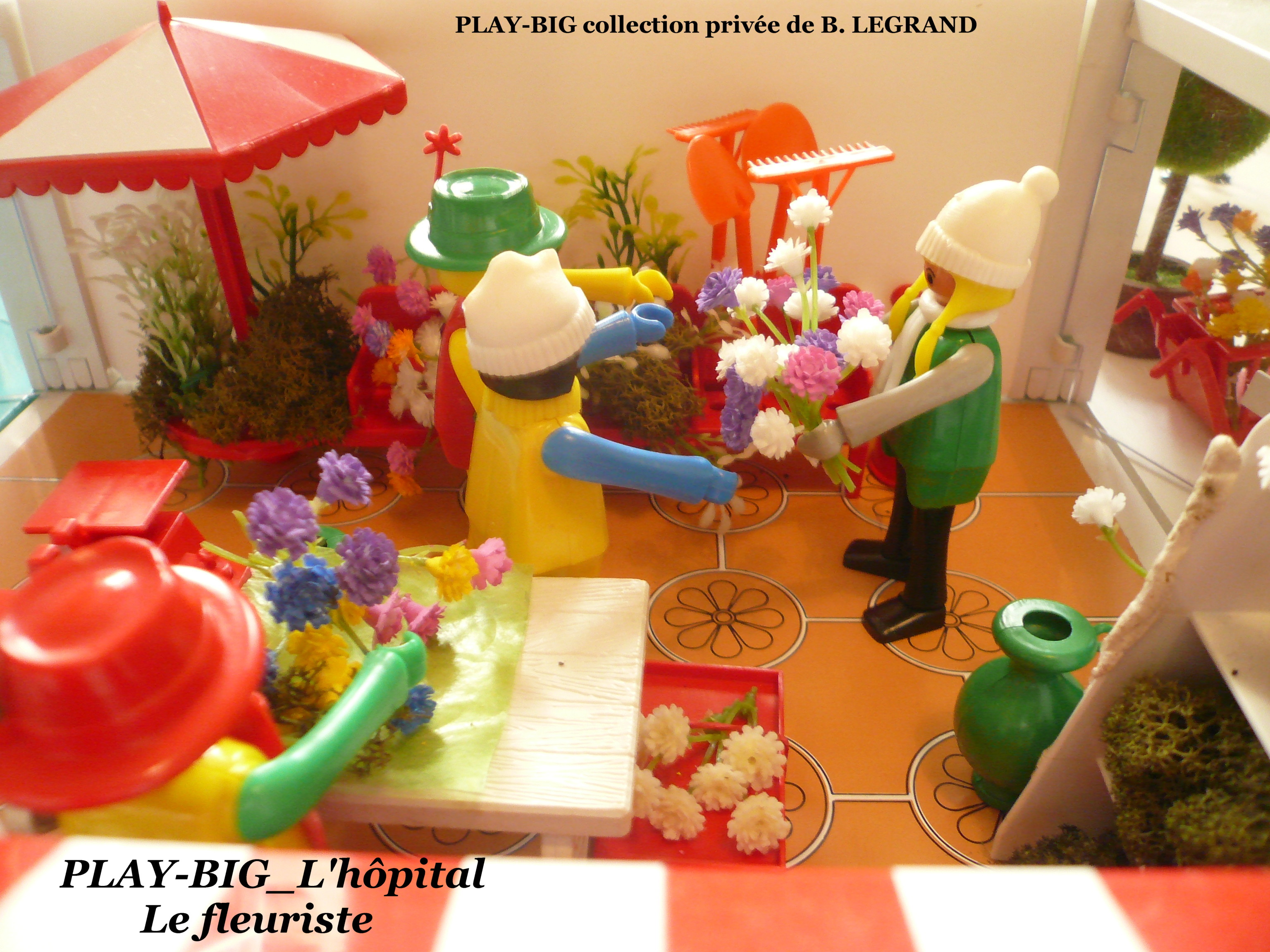 Le service de sante l hopital le fleuriste