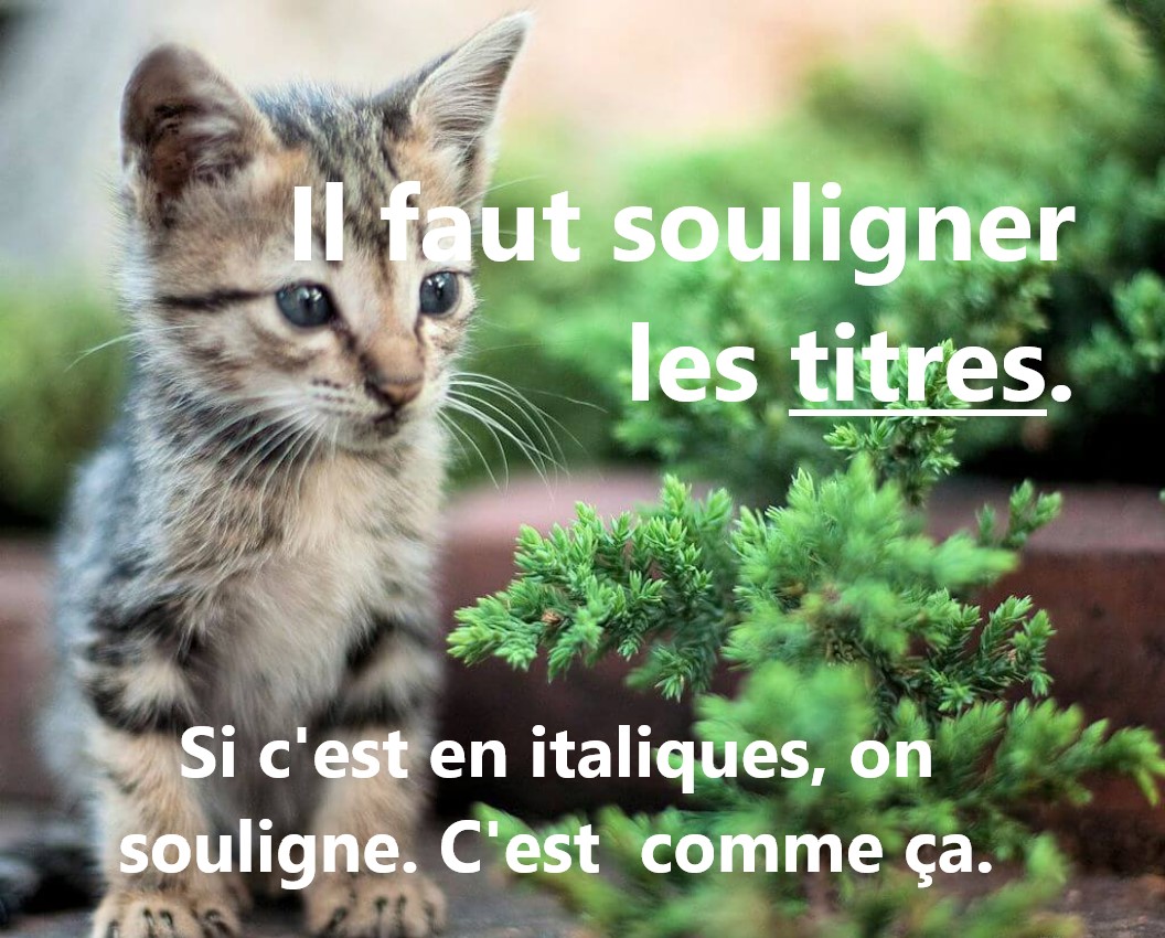 Chaton titres