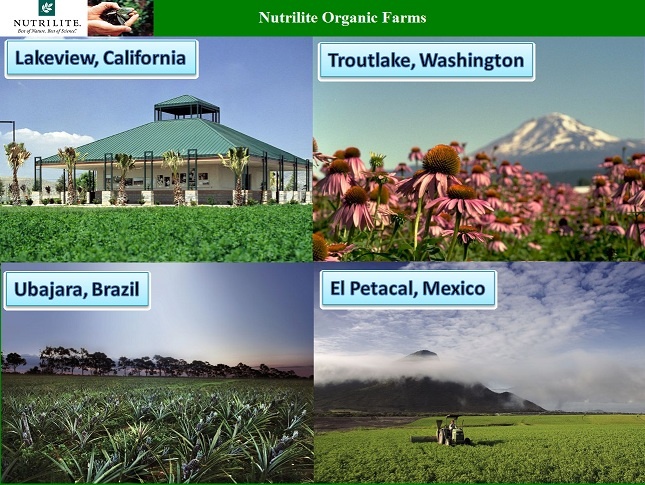 74f7f4655b58ef4aea01ecf5154f1abe nutrilite diamond life