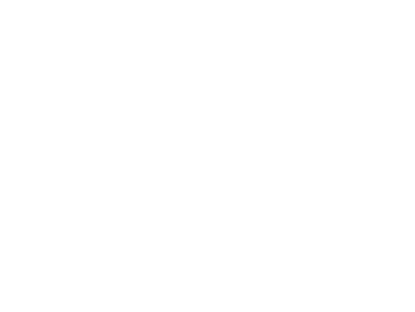 BSB logo vertical blanc