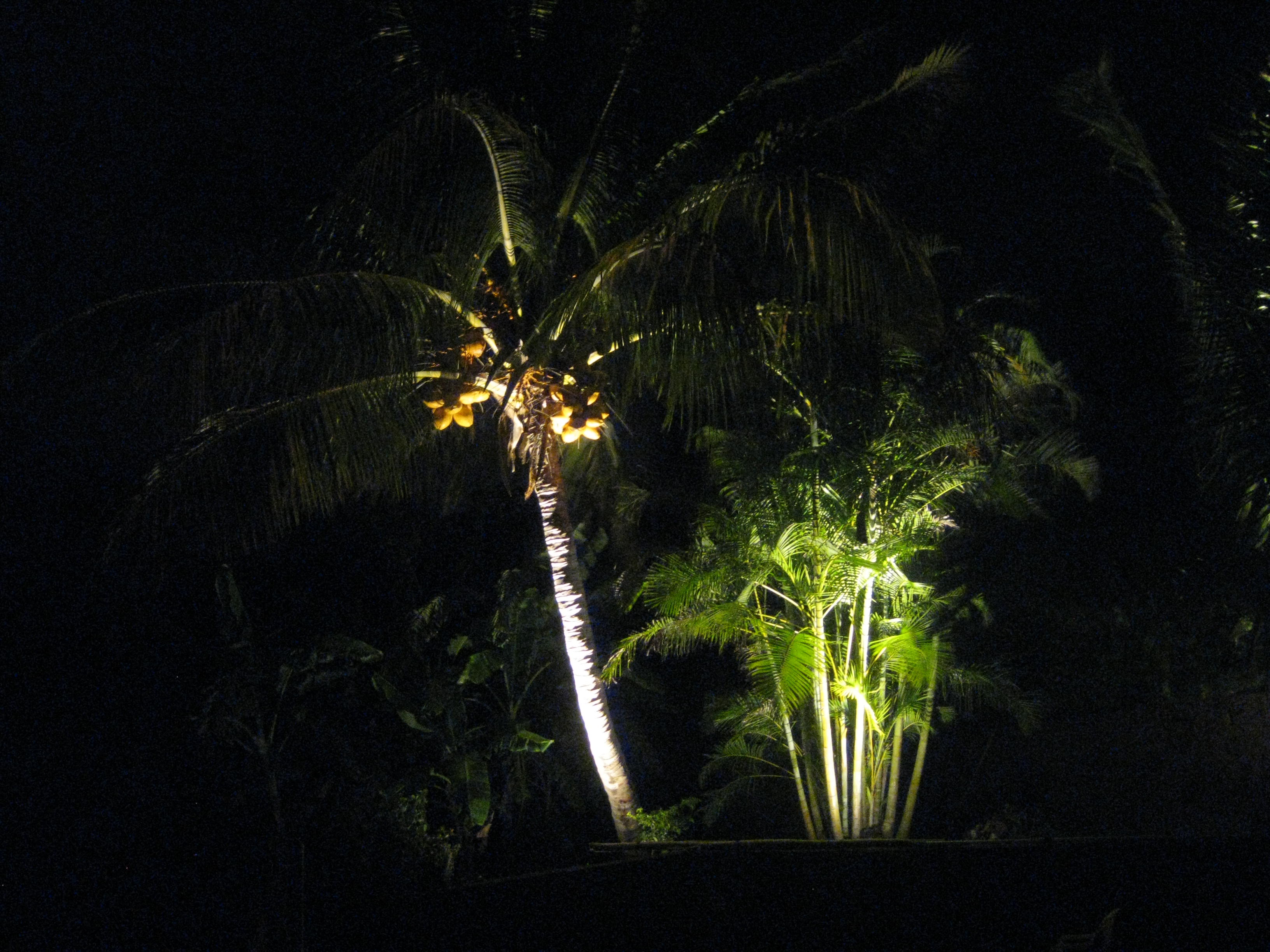17 piscine nuit2