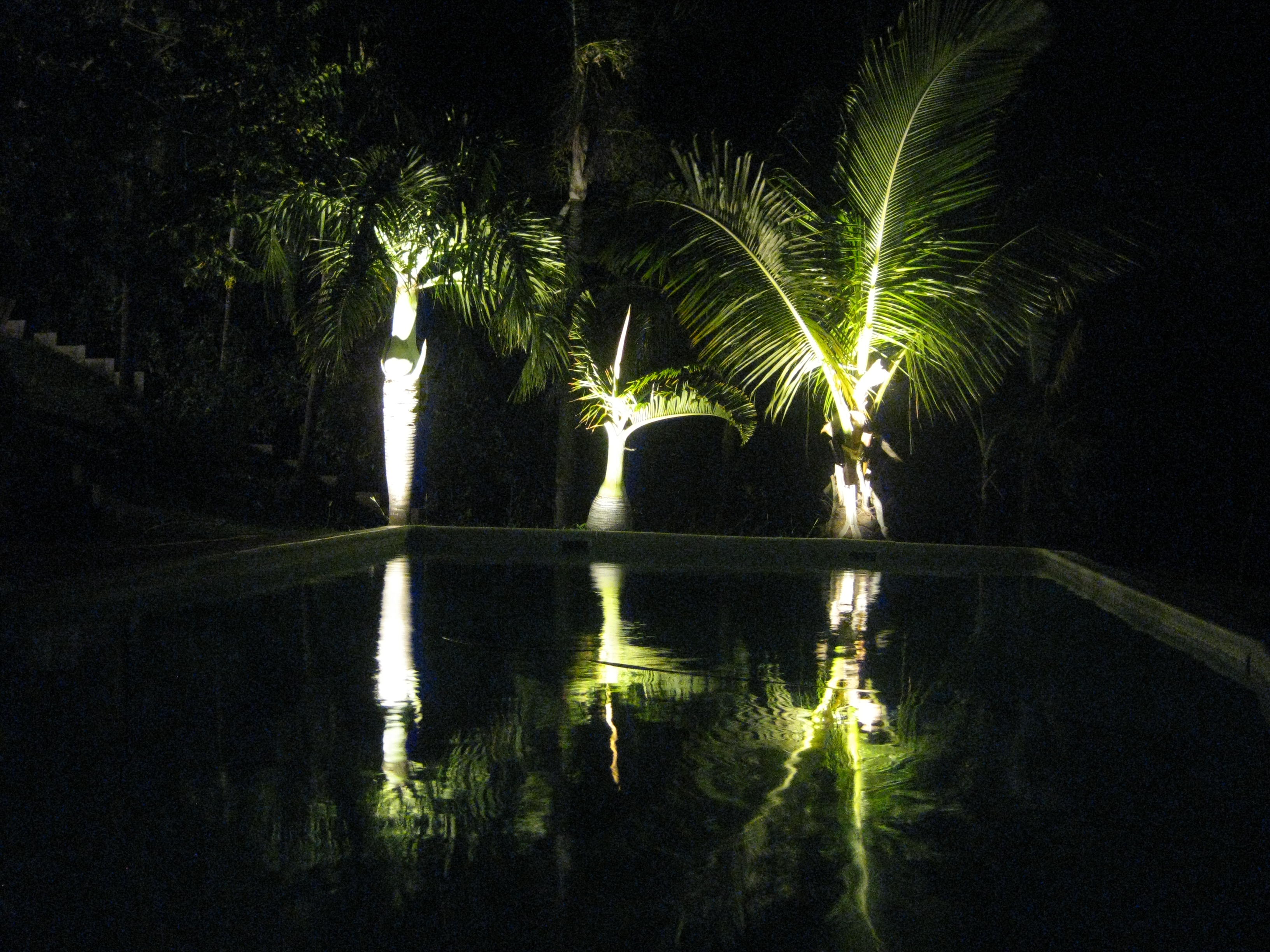 16 piscine nuit