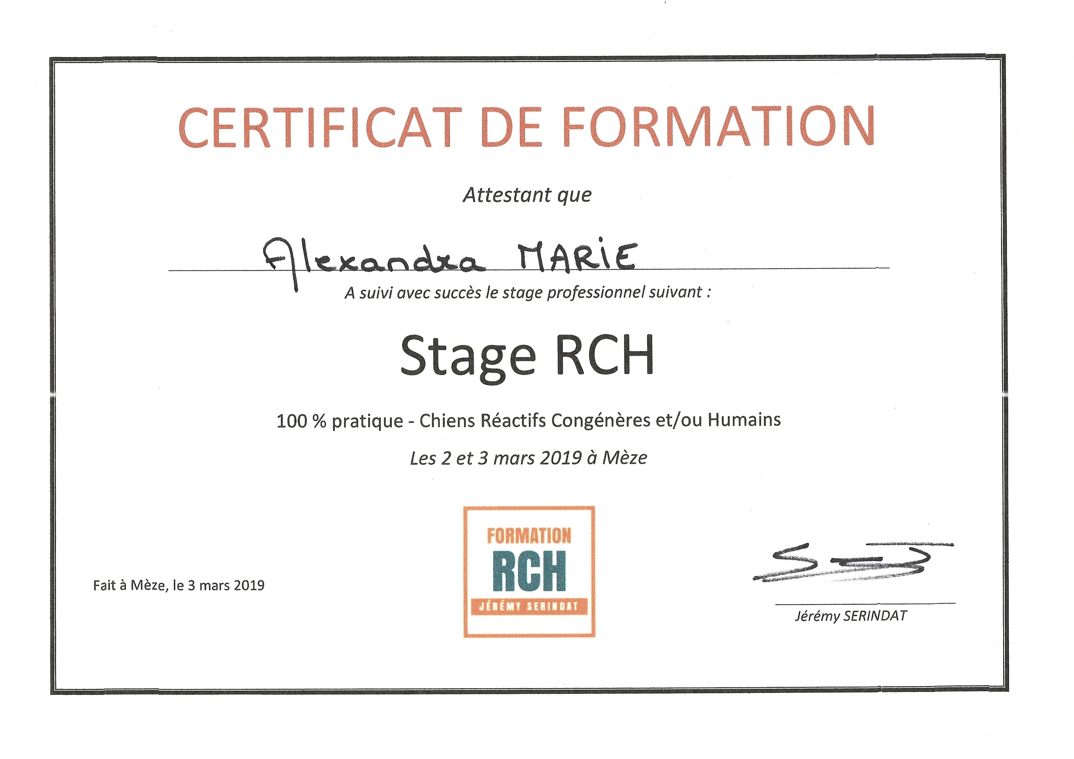 Stage RCH avec Jérély Sérindat de la Team Cap Dog