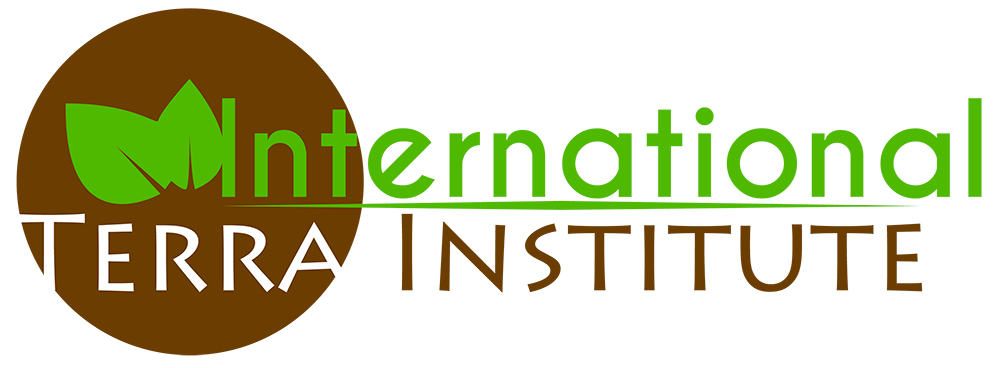 International terra institute logo paris developpement durable
