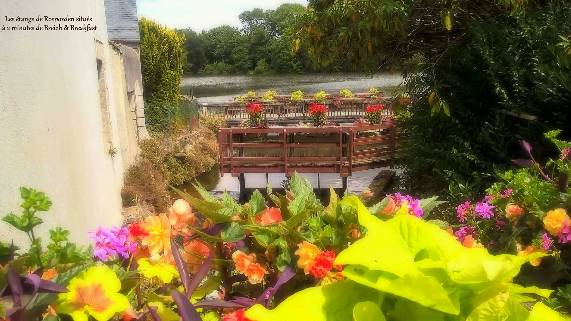 Les etangs de rosporden site1