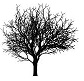 Arbre