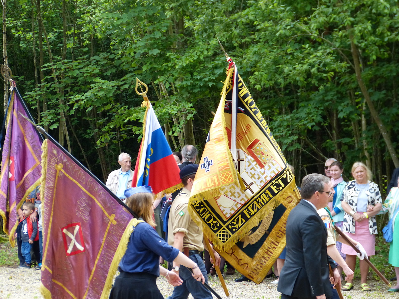 P1050993site