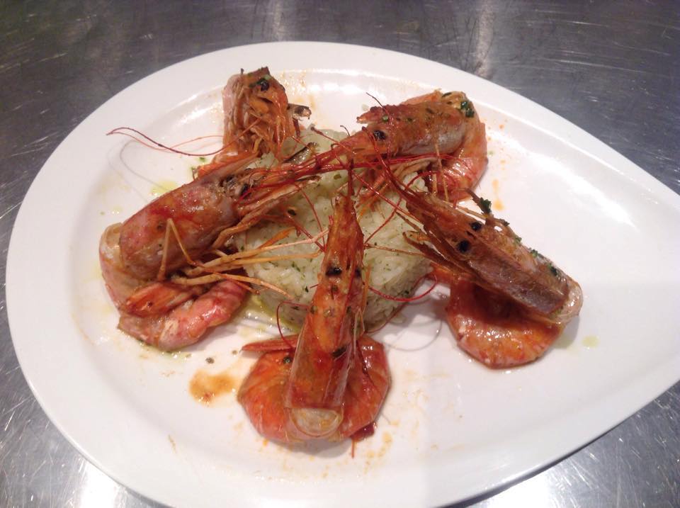 11130099 374690456052251 1608458334880322737 n