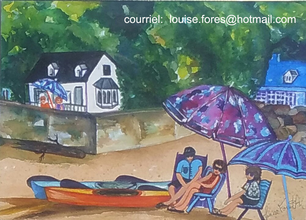 448 plage st michel de bellechasse avec courriel