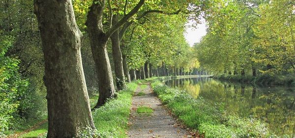 Canal des Vosges 9 600 px