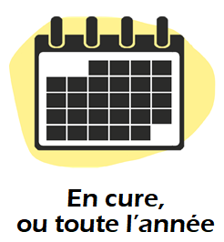 conseil spiruline quand en cure toute l'année
