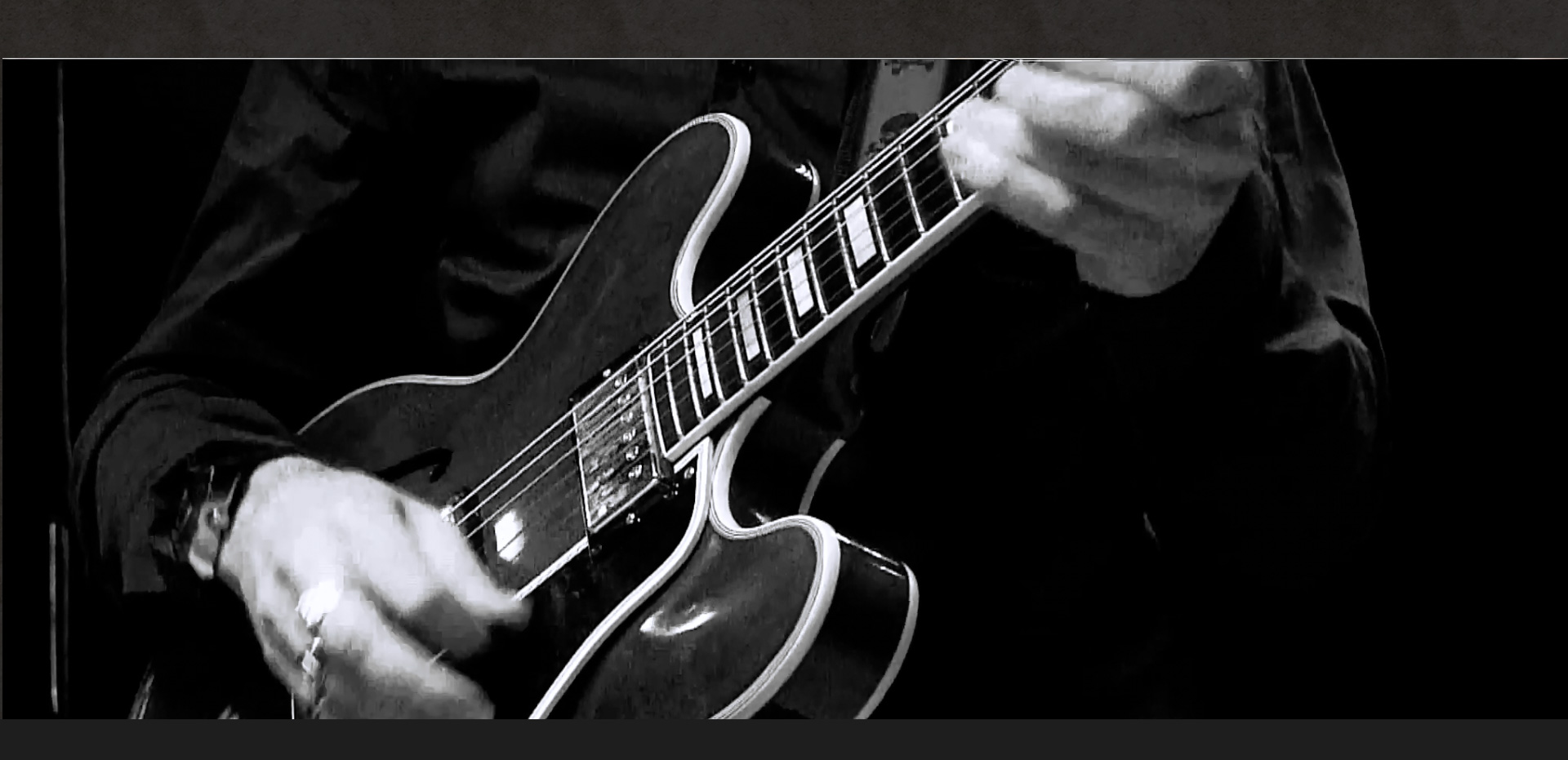 Cours de guitare, cours de ukulélé, cours de banjo ténor, cours d'harmonica, prof de guitare