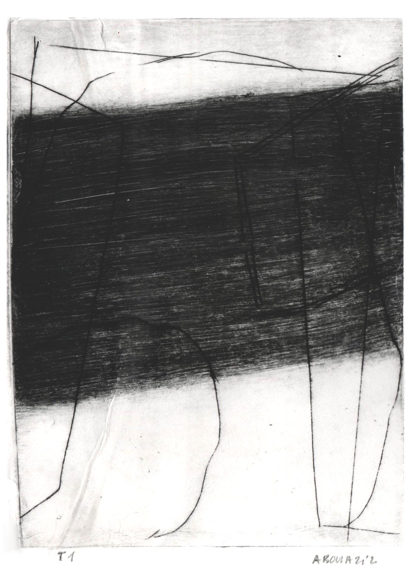 T1 11x15 cm