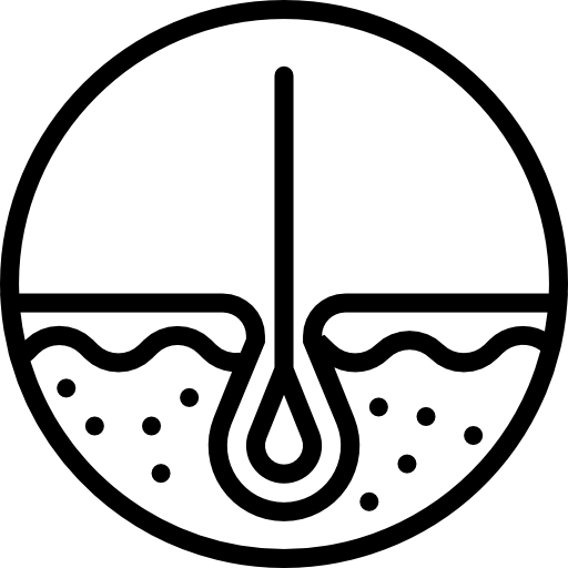 Skin icn
