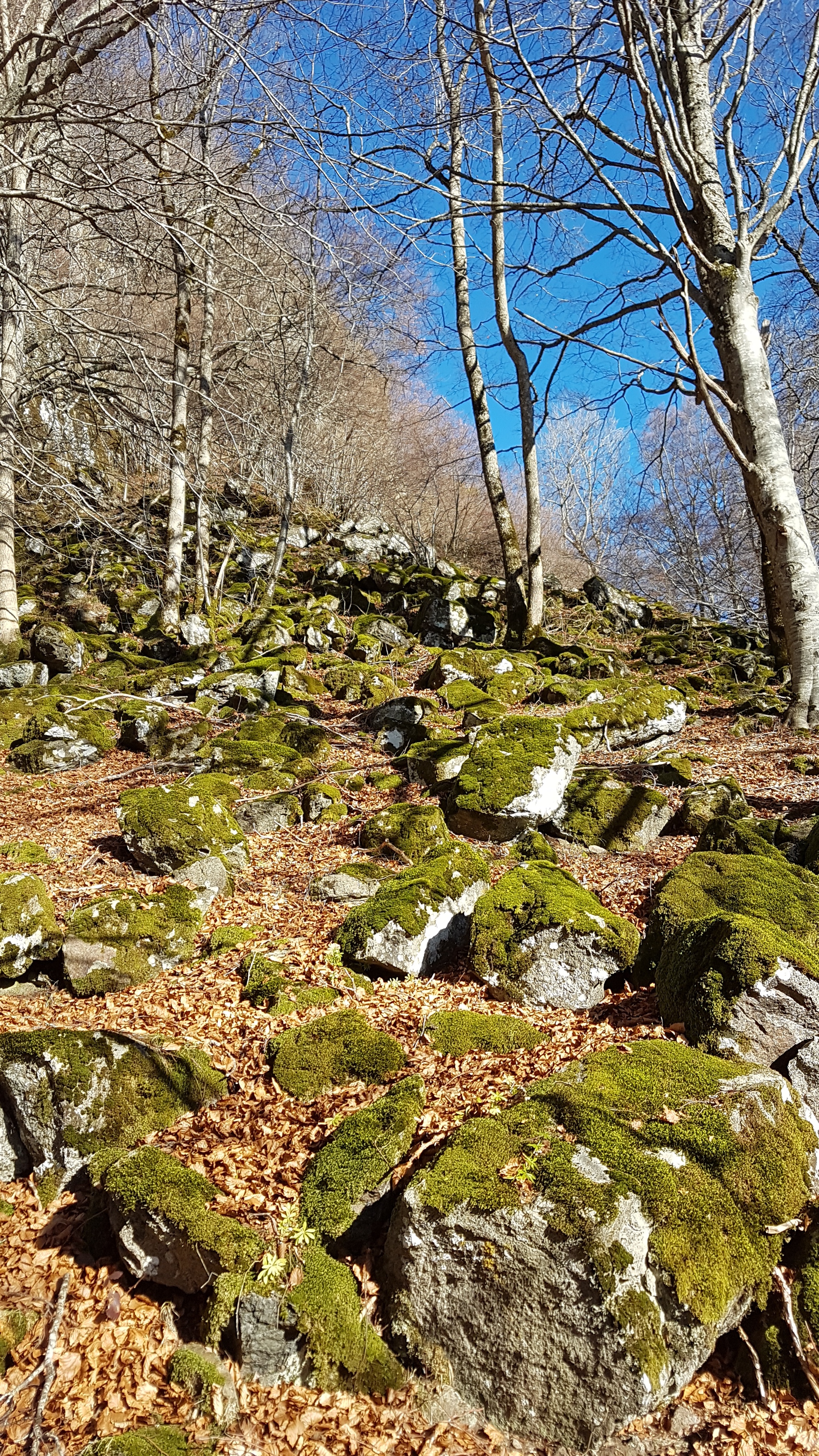 20190101 134403