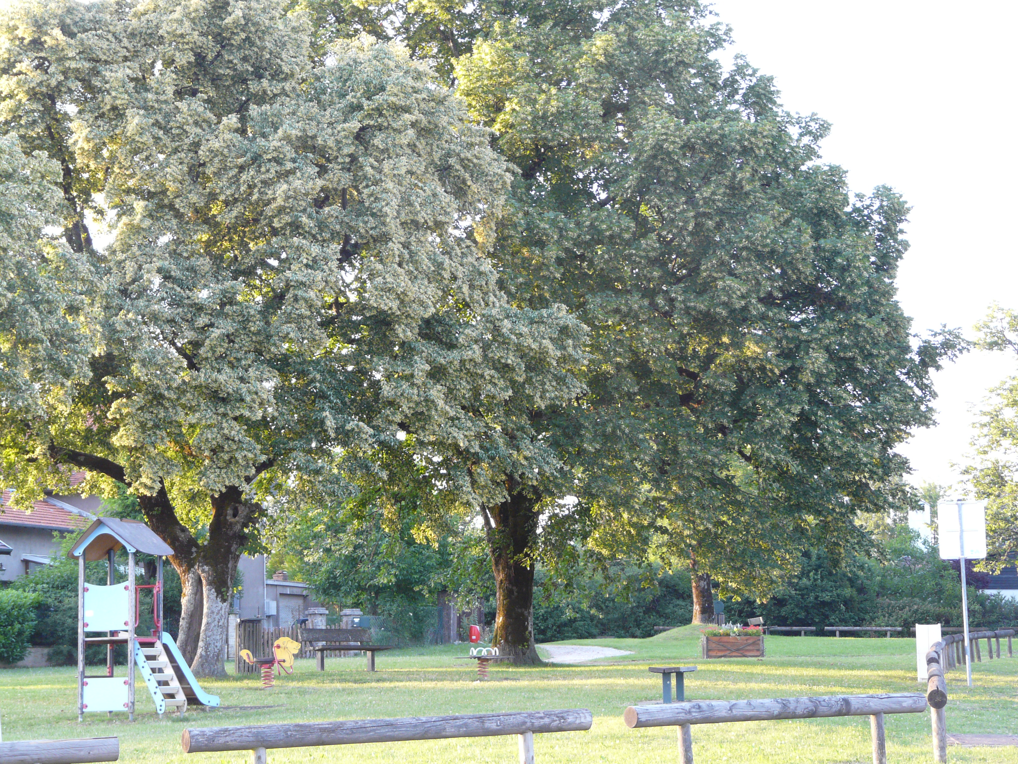 P1000573