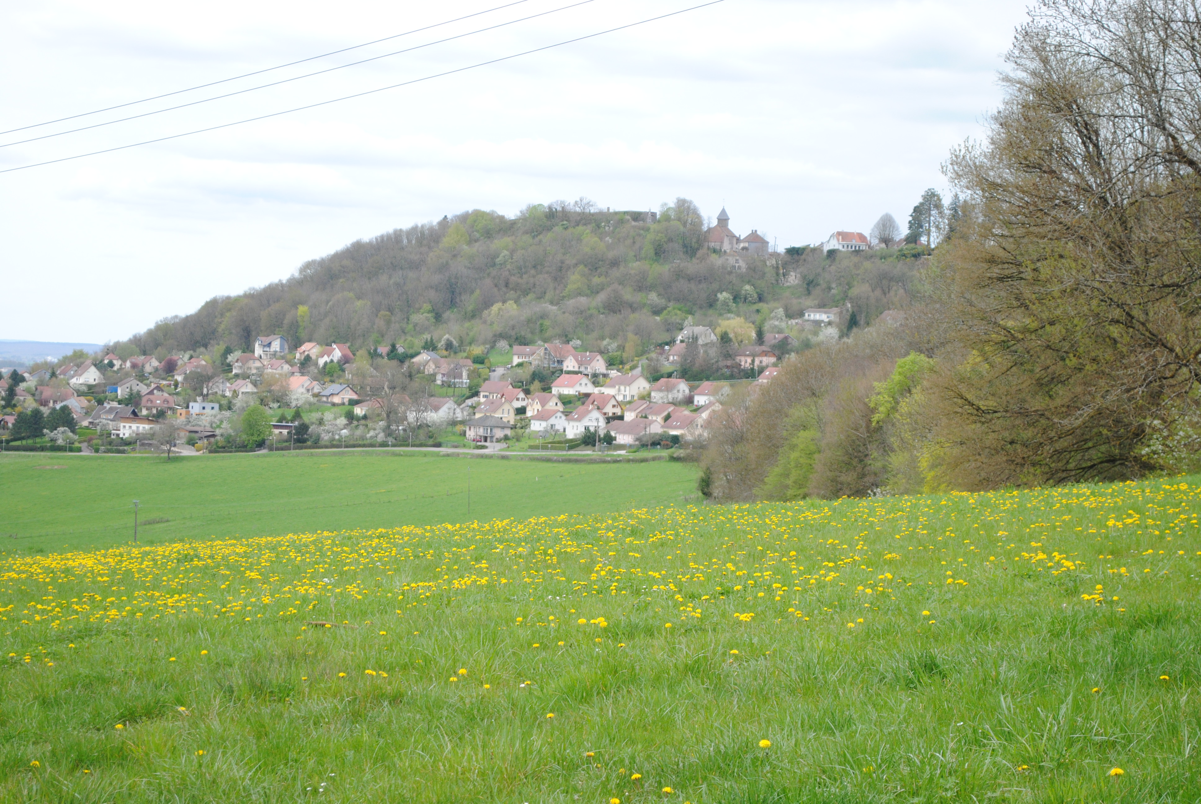 Dsc 0208