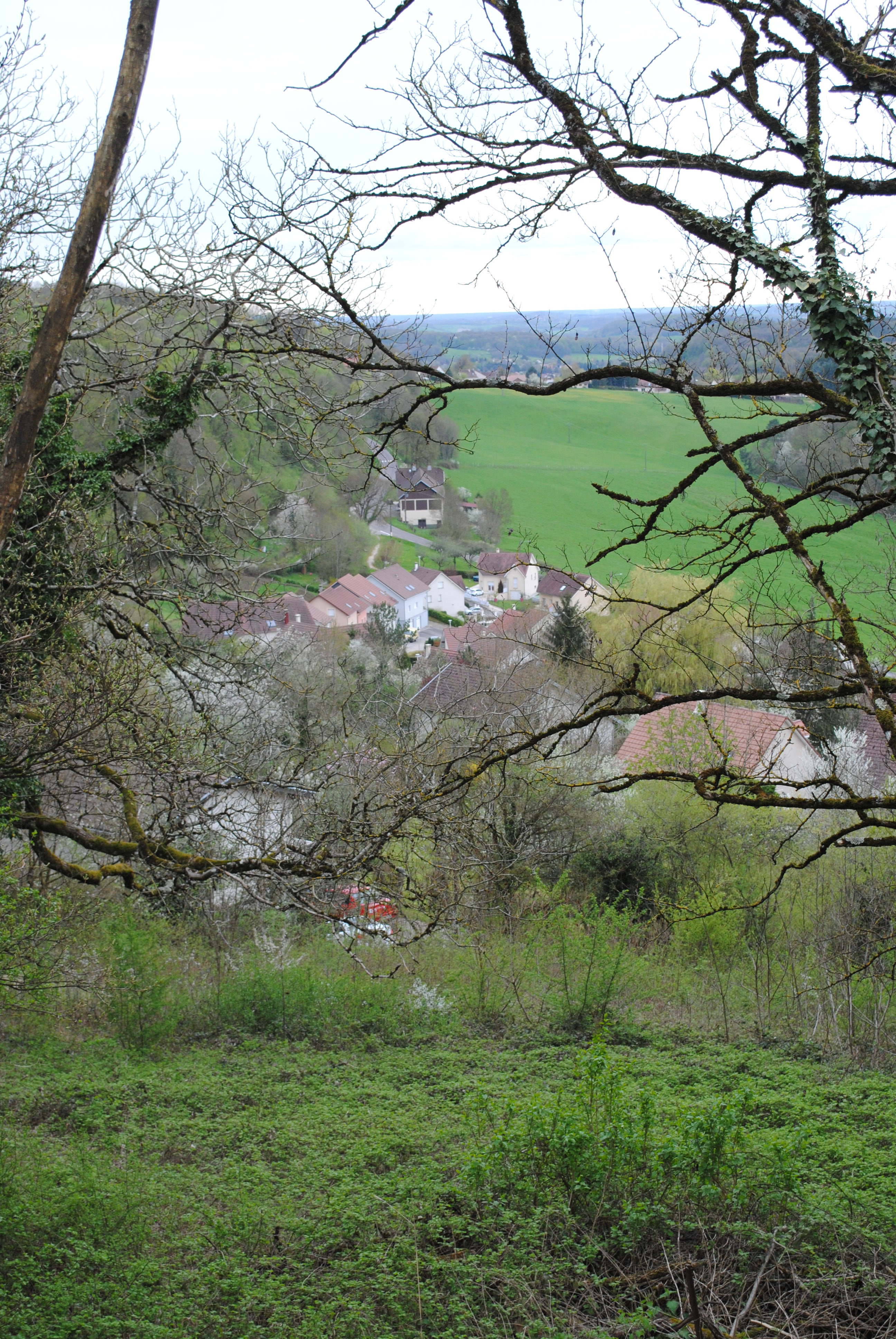 Dsc 0277
