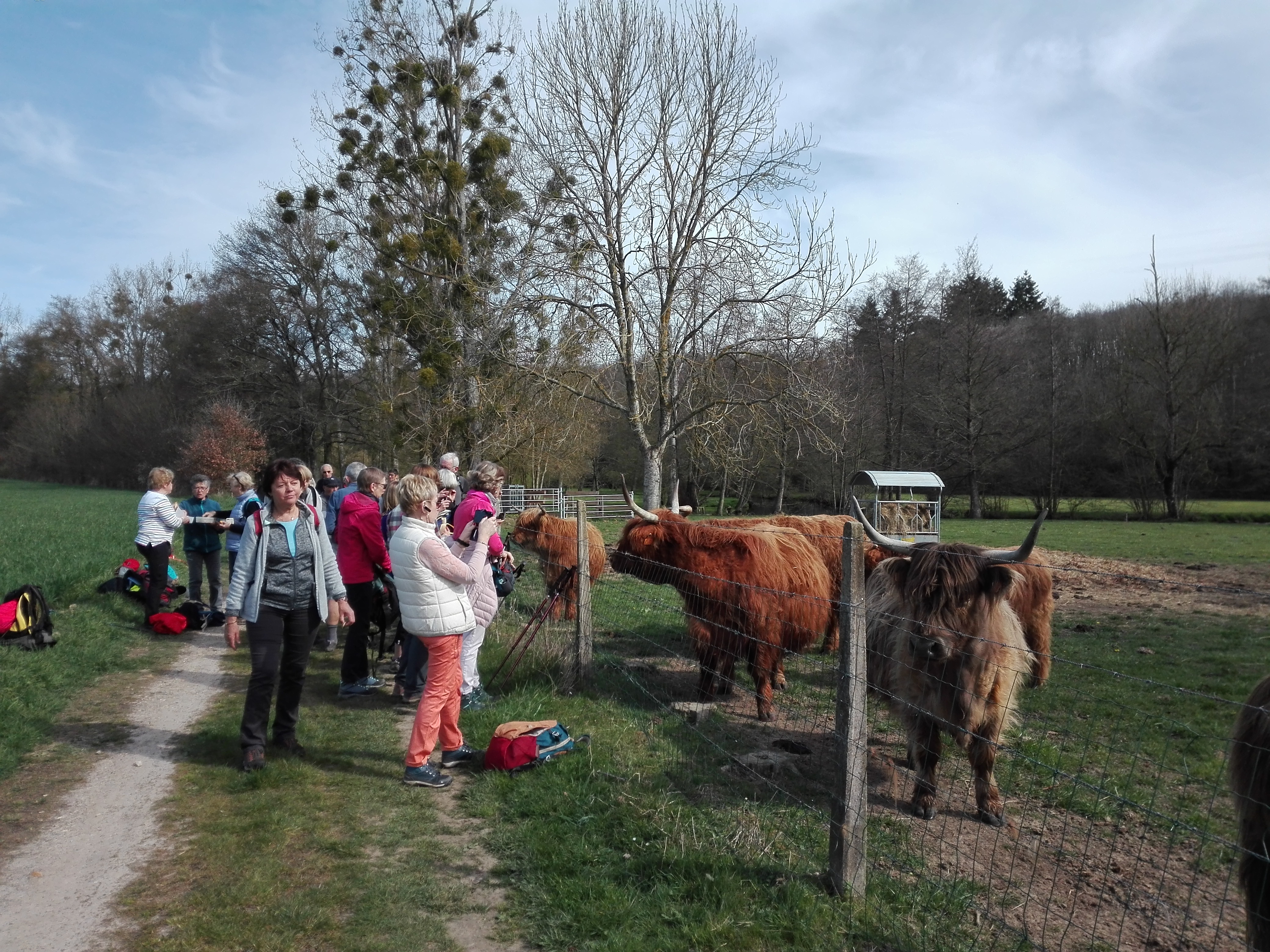 Sortie mensuelle st ange entre betes