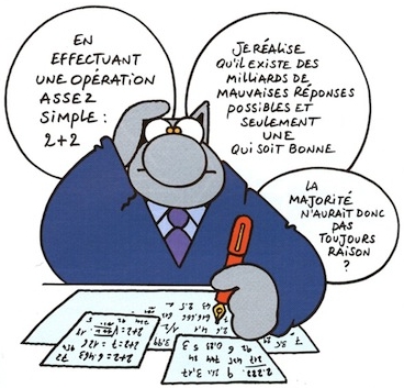 Chat maths