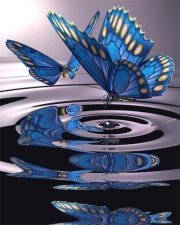 Victoria: Relato de vuelo