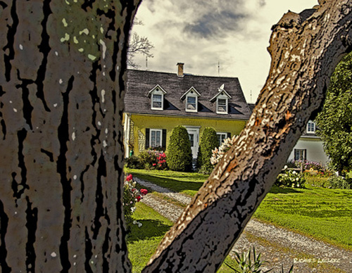 Maison jaune