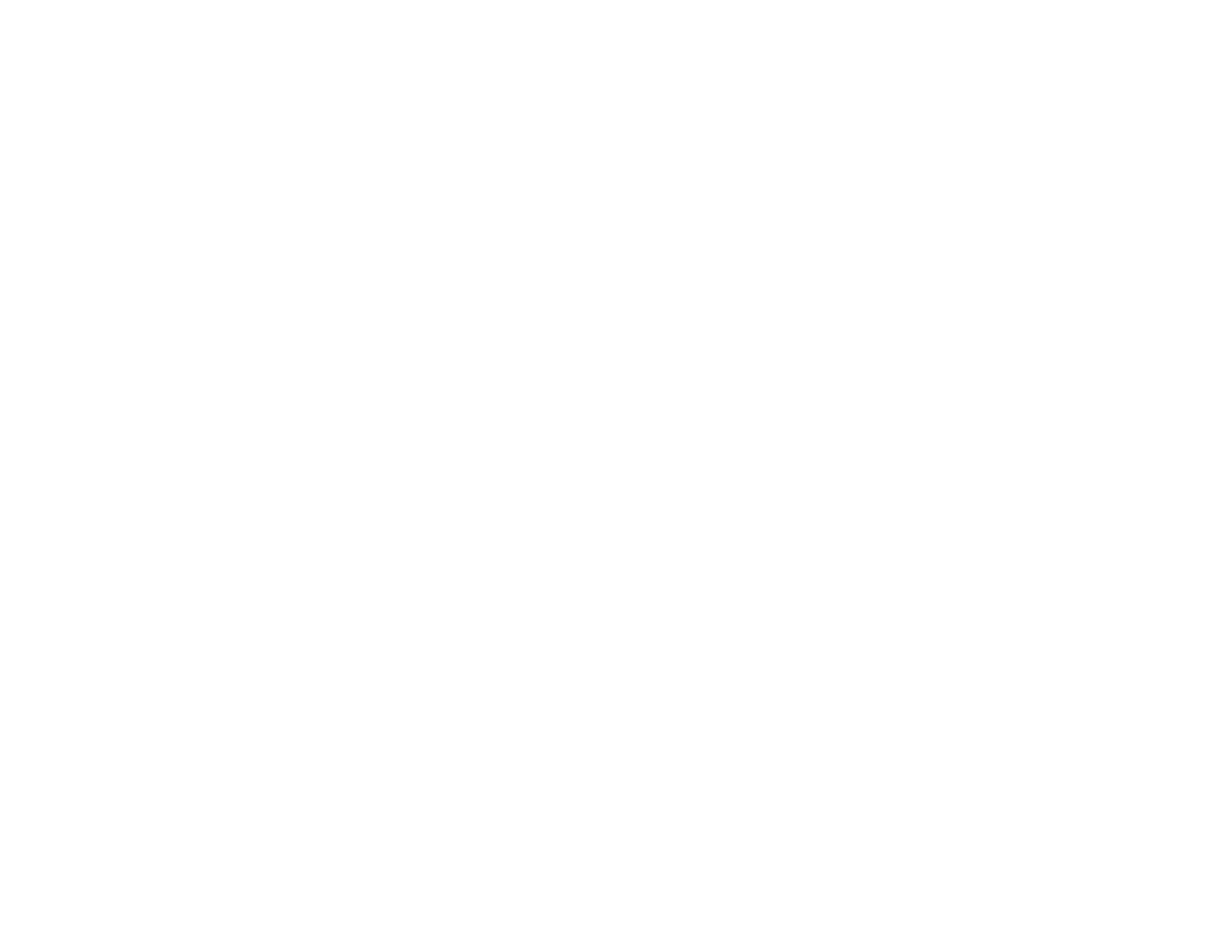 Troududiable logo Compact Blanc