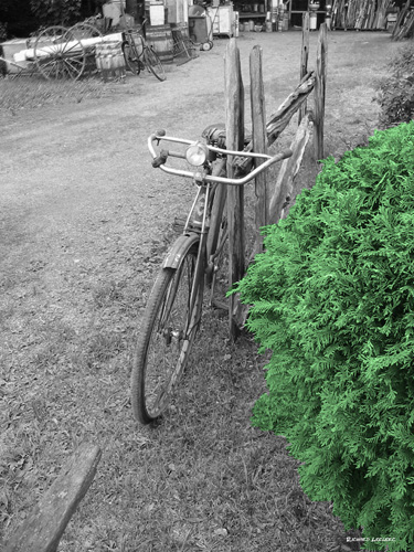 Le velo 1