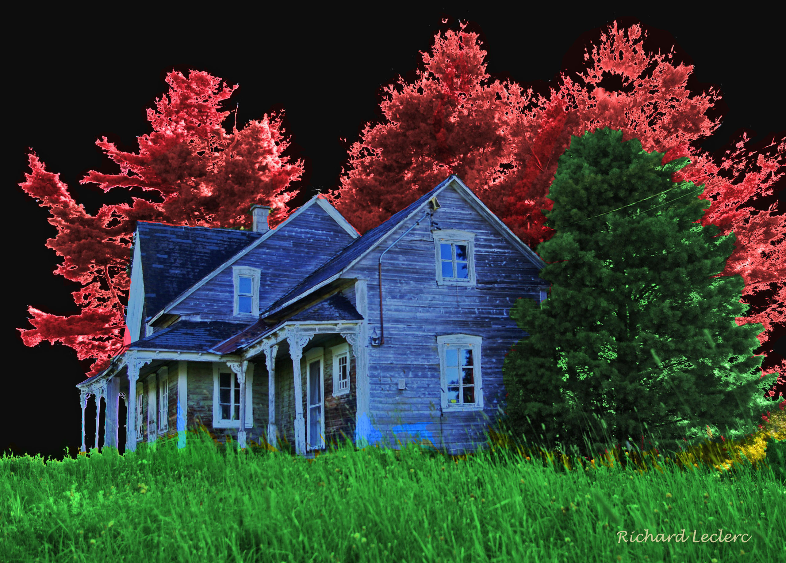 La maison bleue