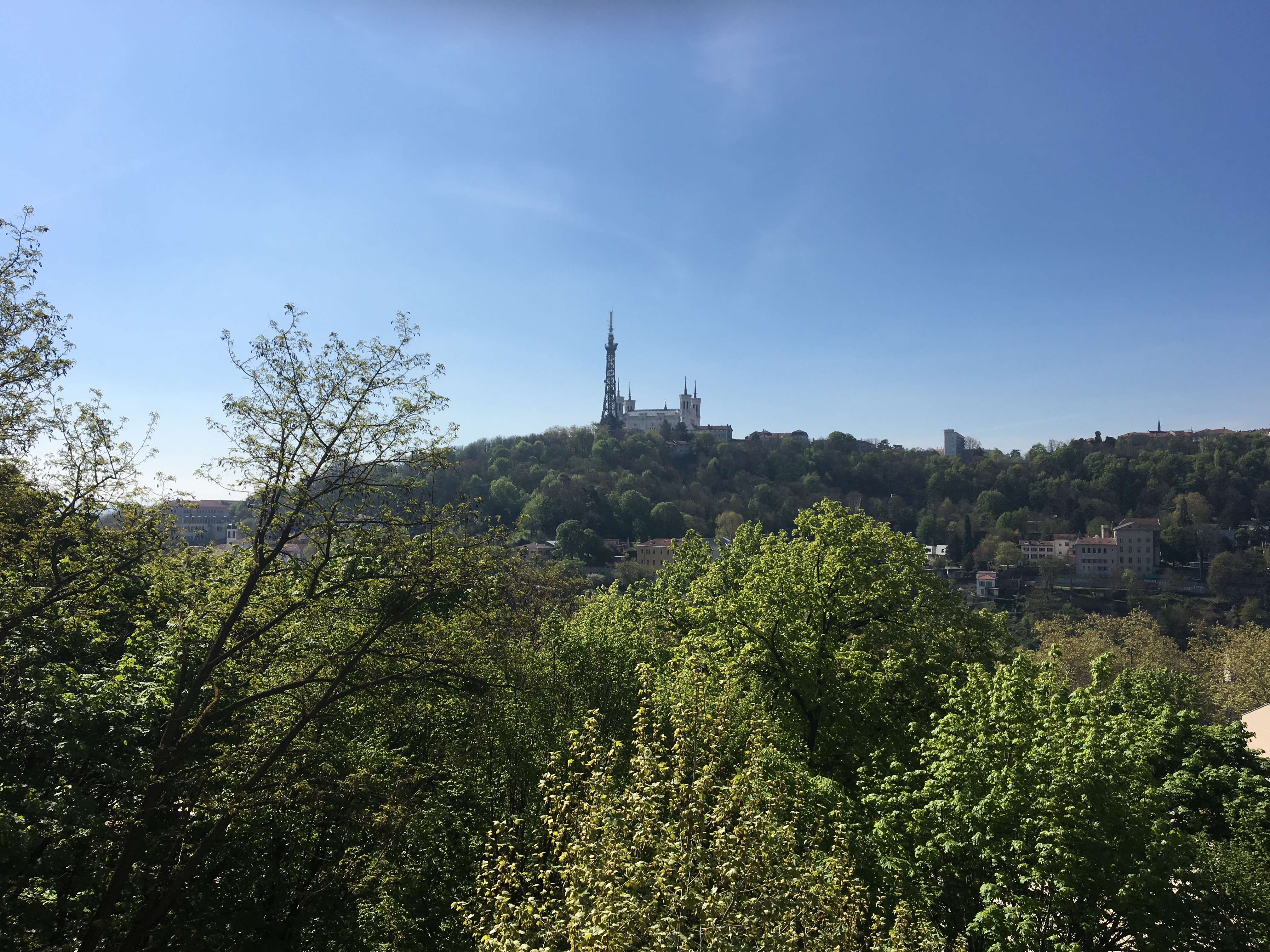 Img 0663