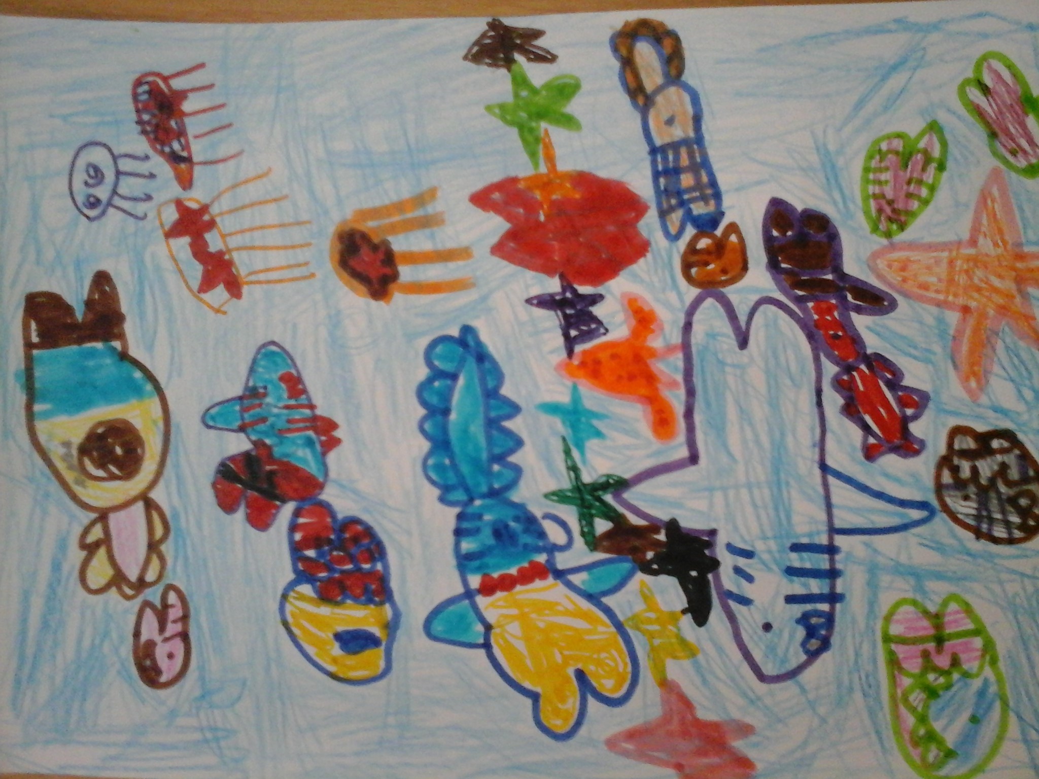 Dessin aquarium 1